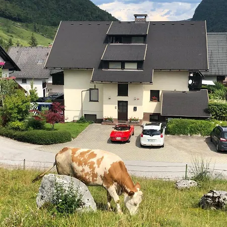 In The Heart Of Nature Apartma Bohinj