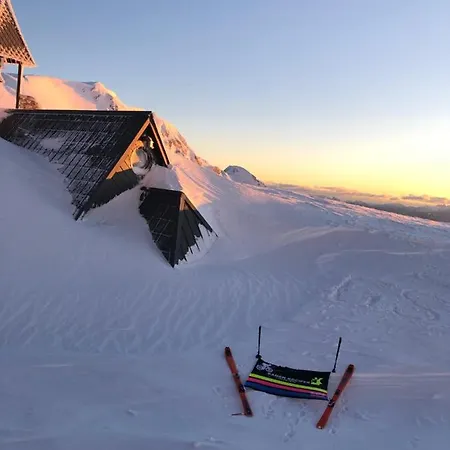 In The Heart Of Nature *