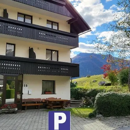 In The Heart Of Nature * Bohinj