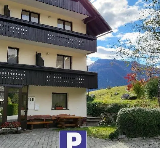 In The Heart Of Nature * ボーヒニ